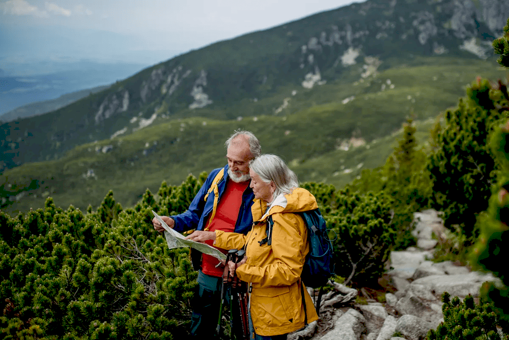 Графічне зображення програми пенсійних ануїтетів Vanguard